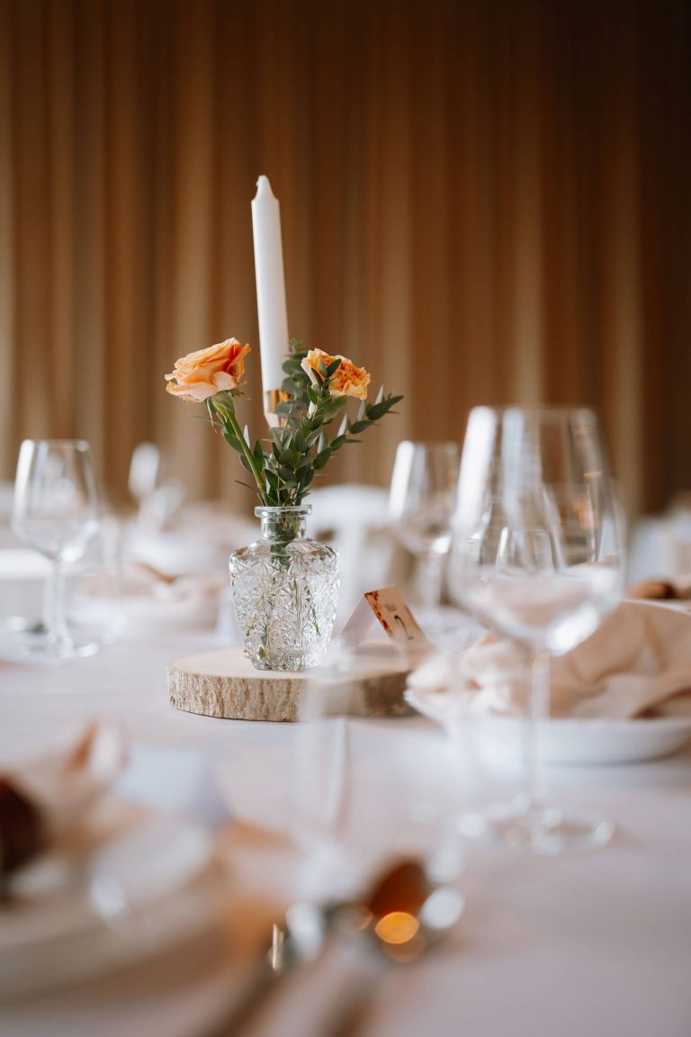 larisa&matjaž wedding 176 2